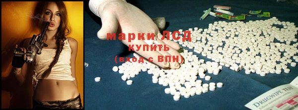 ПСИЛОЦИБИНОВЫЕ ГРИБЫ Аркадак