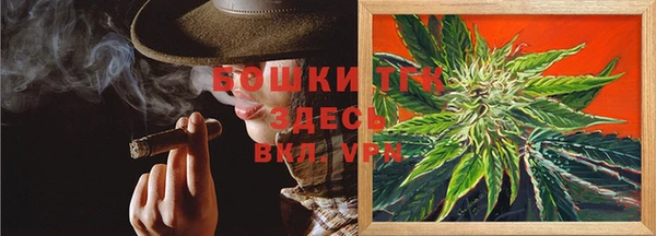 ПСИЛОЦИБИНОВЫЕ ГРИБЫ Аркадак