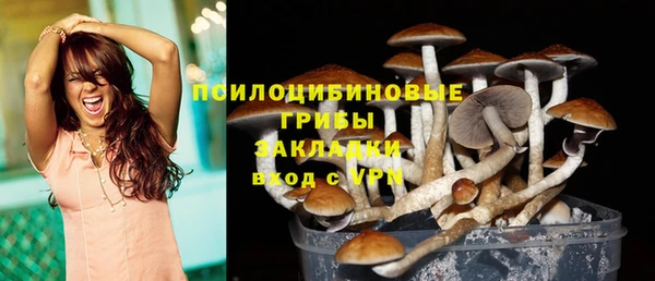 трава Армянск