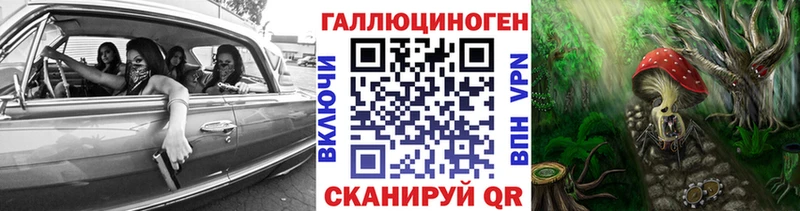 как найти закладки  Приморск  Псилоцибиновые грибы Psilocybe 