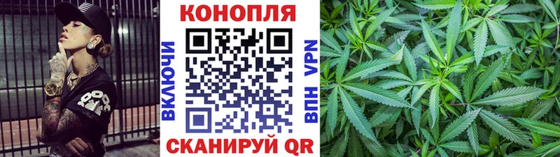 купить  цена  Приморск  Канабис сатива 